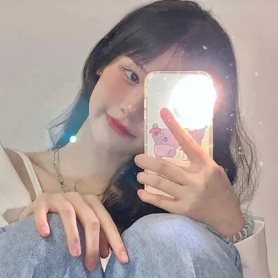 双生赤狐